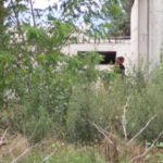 37286632_10213446508852093_1479984617111945216_n