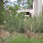 37286632_10213446508852093_1479984617111945216_n