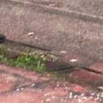 WhatsApp Image 2019-04-24 at 19.29.42