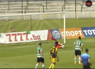 Ранените канарчета паднаха от Черно море